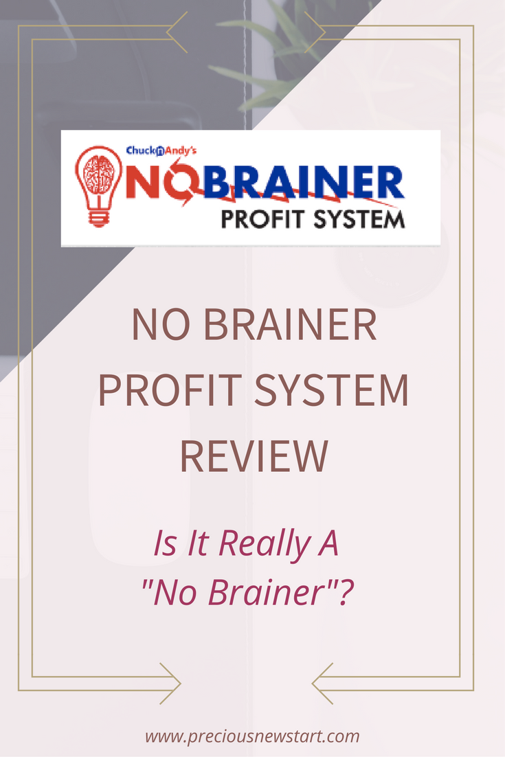 no-brainer-profit-system-review-4