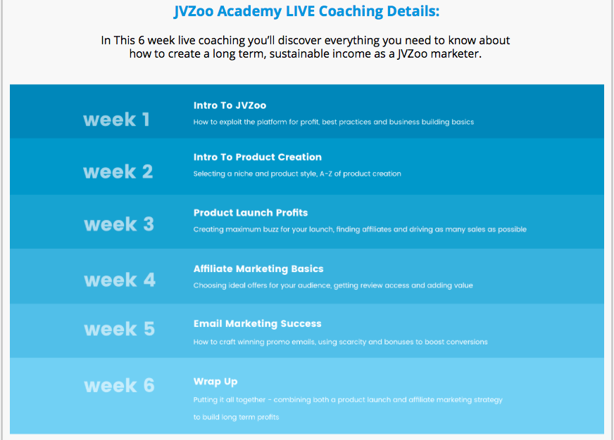 jvzoo academy 6 weeks live coaching