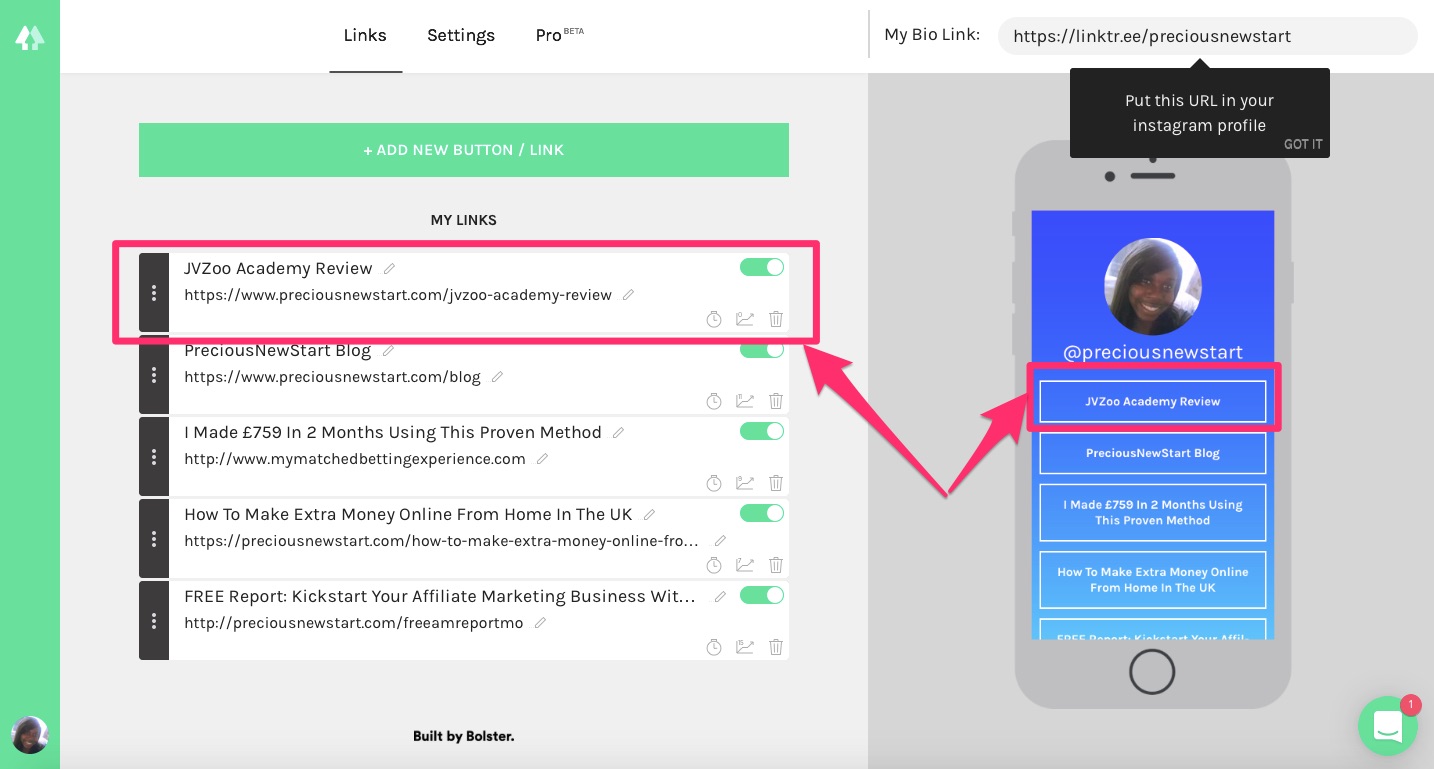 How To Add Multiple Links On Instagram Using LinkTree - Precious New Start