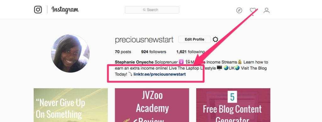 How To Add Multiple Links On Instagram Using LinkTree - Precious New Start