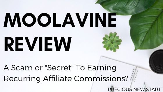 is moolavine a scam blog