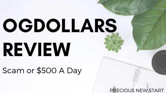 OGDollars review - is OGDollars a scam or legit $500 a day